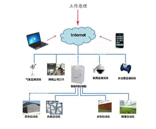 智能温室大棚控制系统的功能特色 全面版